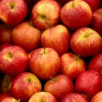 Home A vibrant collection of fresh red apples at the Melbourne Royal Show in Ascot Vale, VIC, Australia.